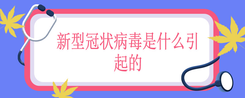 新型冠状病毒是什么引起的