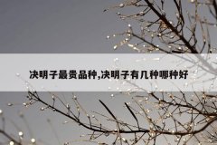 决明子最贵品种,决明子有几种哪种好