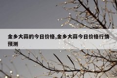 金乡大蒜的今日价格,金乡大蒜今日价格行情预测