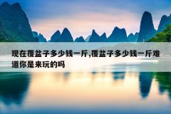 现在覆盆子多少钱一斤,覆盆子多少钱一斤难道你