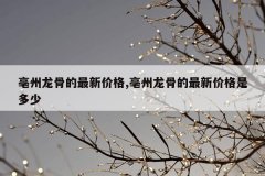 亳州龙骨的最新价格,亳州龙骨的最新价格是多少