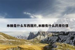 米糠是什么东西图片,米糠有什么药用价值