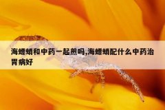 海螵蛸和中药一起煎吗,海螵蛸配什么中药治胃病