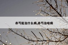 赤芍能治什么病,赤芍治啥病