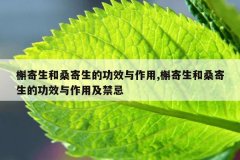 槲寄生和桑寄生的功效与作用,槲寄生和桑寄生的