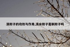 清附子的功效与作用,清水附子是制附子吗