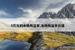 5万元的水杨梅盆景,水杨梅盆景价值