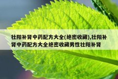 壮阳补肾中药配方大全(绝密收藏),壮阳补肾中药