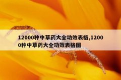 12000种中草药大全功效表格,12000种中草药大全功效