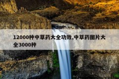 12000种中草药大全功效,中草药图片大全3000种