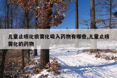 儿童止咳化痰雾化吸入药物有哪些,儿童止咳雾化