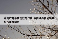 中药红丹参的功效与作用,中药红丹参的功效与作