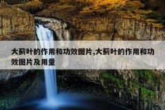 大蓟叶的作用和功效图片,大蓟叶的作用和功效图