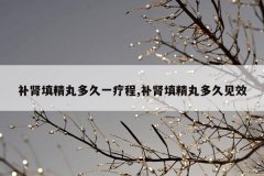 补肾填精丸多久一疗程,补肾填精丸多久见效