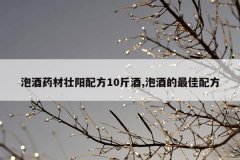 <b>泡酒药材壮阳配方10斤酒,泡酒的最佳配方</b>