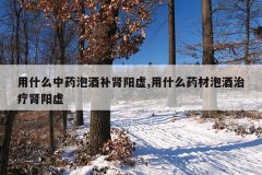 <b>用什么中药泡酒补肾阳虚,用什么药材泡酒治疗肾阳虚</b>