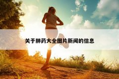 关于肺药大全图片新闻的信息