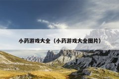 小药游戏大全（小药游戏大全图片）