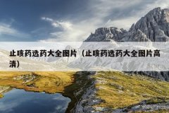 止咳药选药大全图片（止咳药选药大全图片高清