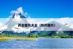 药合图片大全（和药图片）