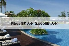 药logo图片大全（LOGO图片大全）