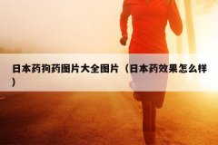 日本药狗药图片大全图片（日本药效果怎么样）